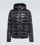 Canada Goose - Crofton hooded down jacket