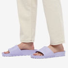 Birkenstock Women's Barbados EVA in Purple Fog