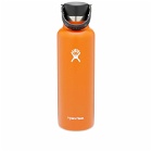 Hydroflask Standard Flex Cap Bottle