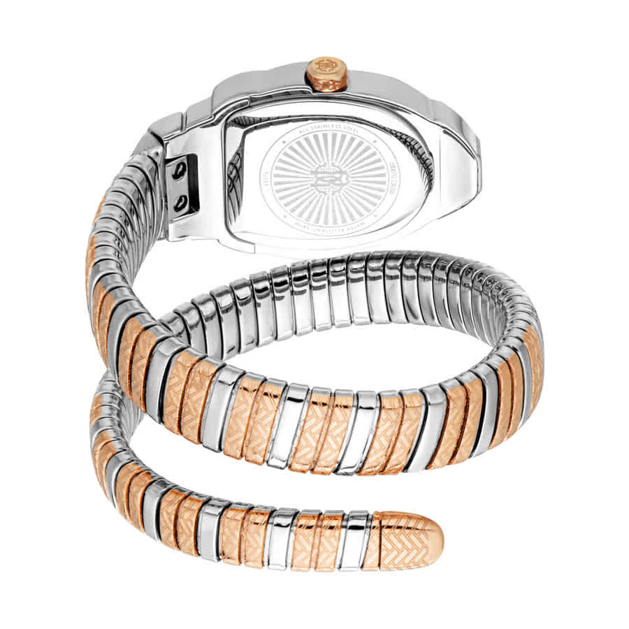 Roberto Cavalli Aurora Silver-tone Dial Ladies Watch RC5L133M0075