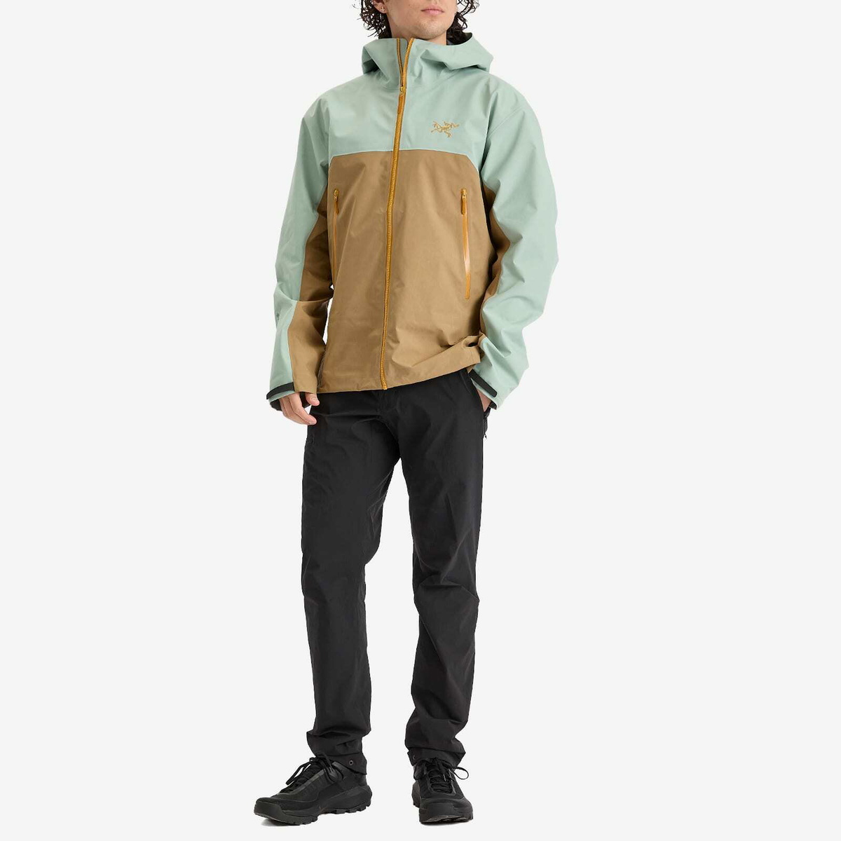 Arc'teryx Men's Beta Gore-Tex Jacket in Trail Magic