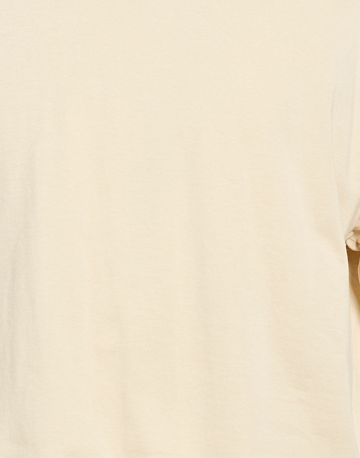 Alpha Industries Mens T-shirt in Beige