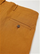 Tod's - Straight-Leg Pleated Twill Shorts - Brown
