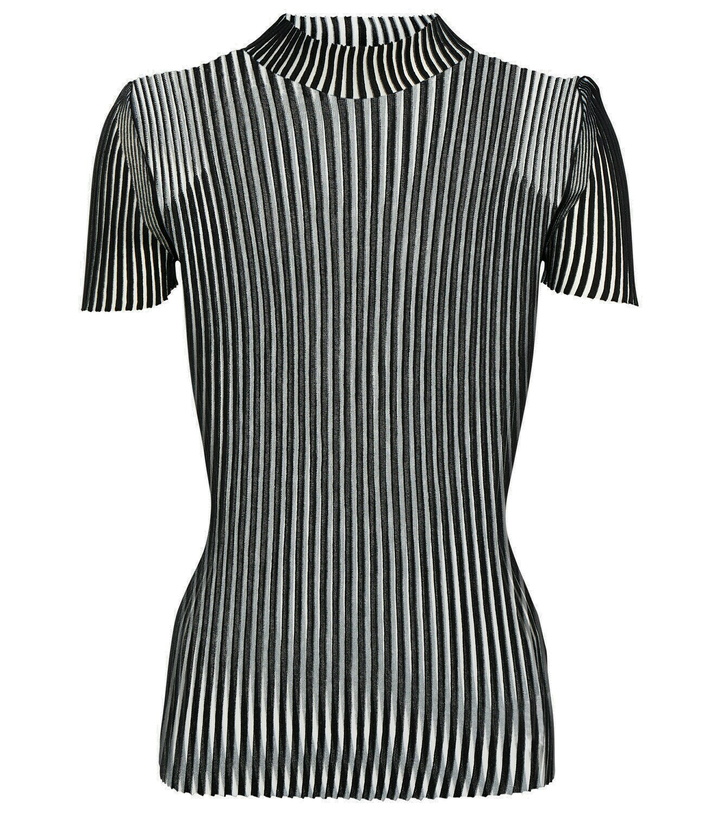 Photo: Wolford Striped turtleneck top