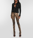 Blumarine Leopard-print jersey leggings