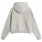 Bene Culture Bene Hindi Hoodie in Grey