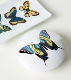 Fornasetti Farfalle porcelain container