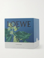 LOEWE HOME SCENTS - Ivy Scented Candle, 170g