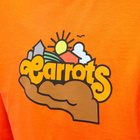 Carrots by Anwar Carrots Men's Long Sleeve Sunshine T-Shirt in Orange