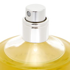 19-69 Invisible Post EDP in 100ml