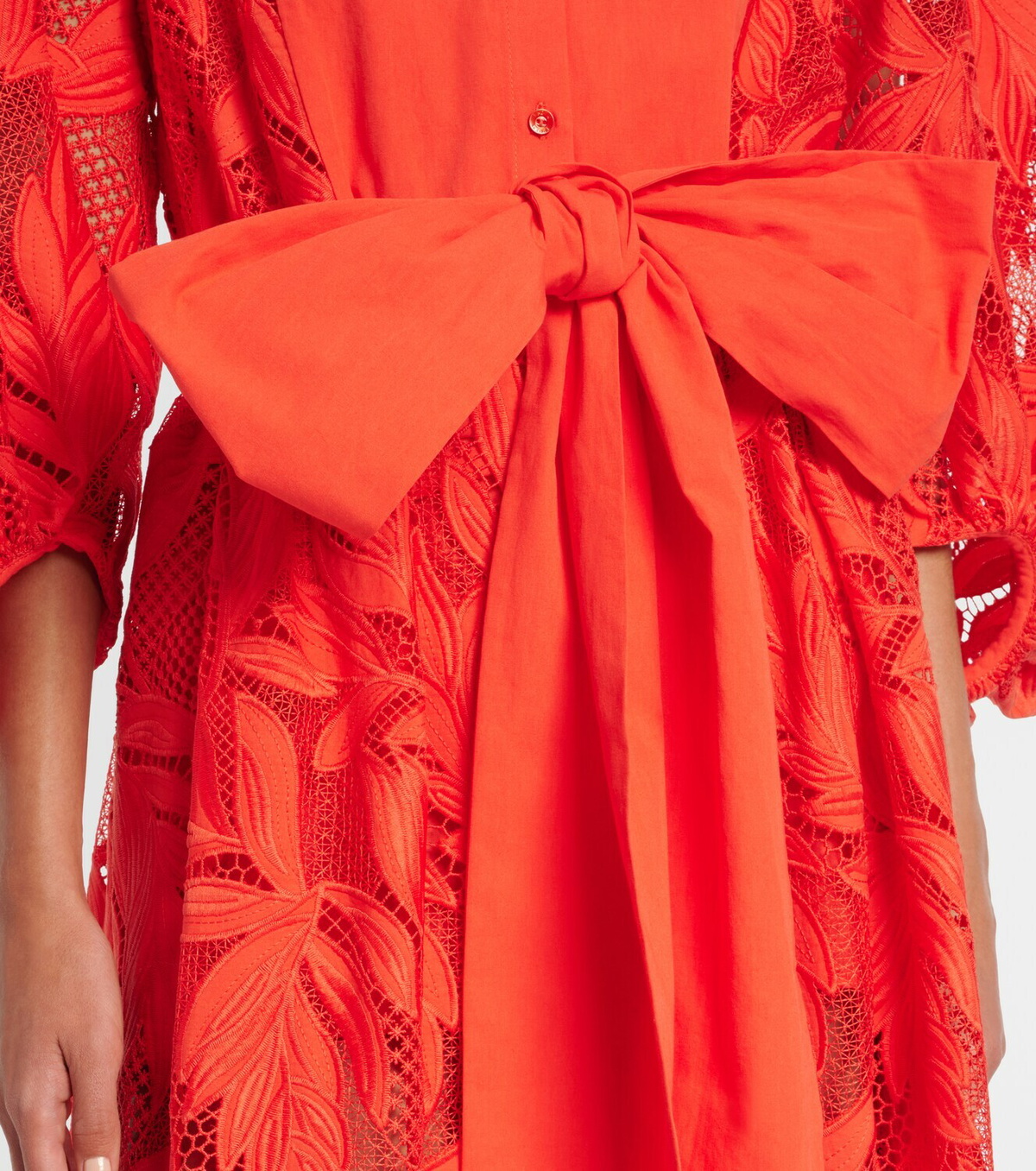 Erdem Embroidered mesh midi dress