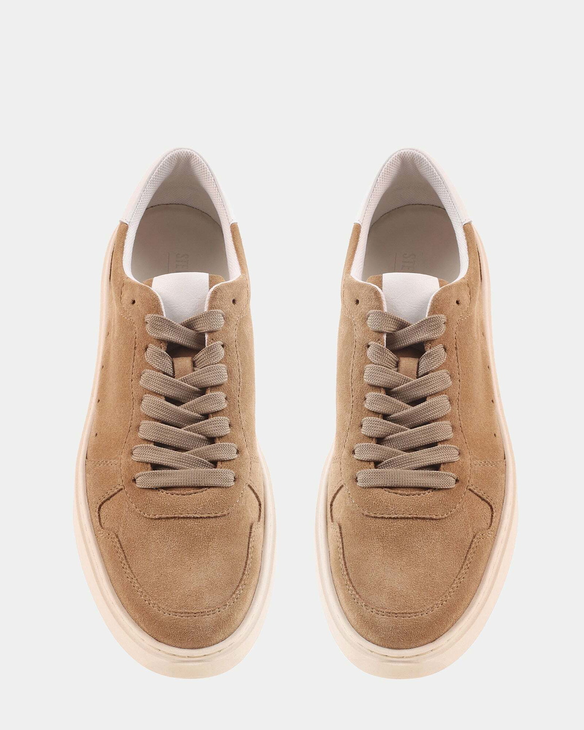 Steve Madden Gregorio Sneakers in Sand