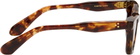 Lunetterie Générale Brown Forever Young Sunglasses