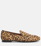 Aquazzura Guanto leopard-print calf hair loafers