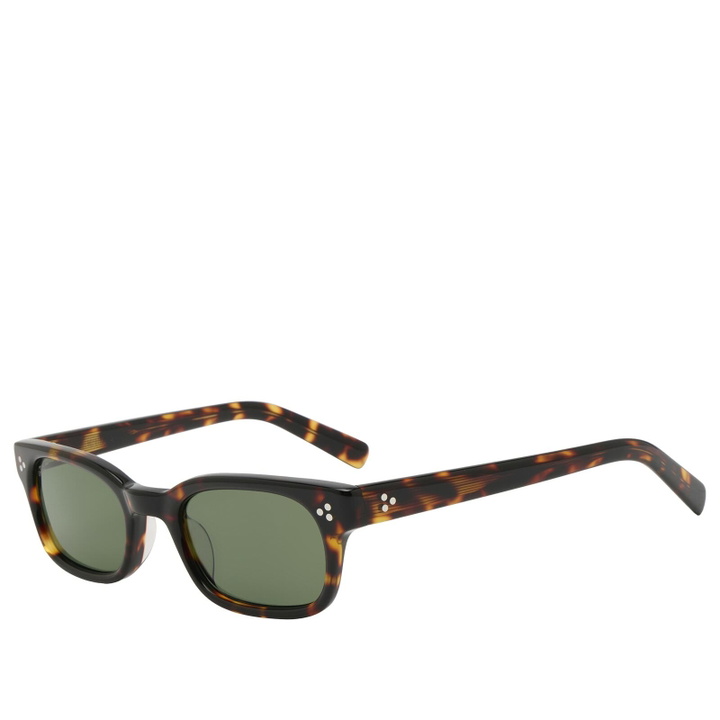 Photo: AKILA Tracer Sunglasses in Mahogany Tortoise/Bottle Green 