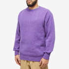 Howlin by Morrison Men's Howlin' Birth of the Cool Crew Knit in Purple Lover