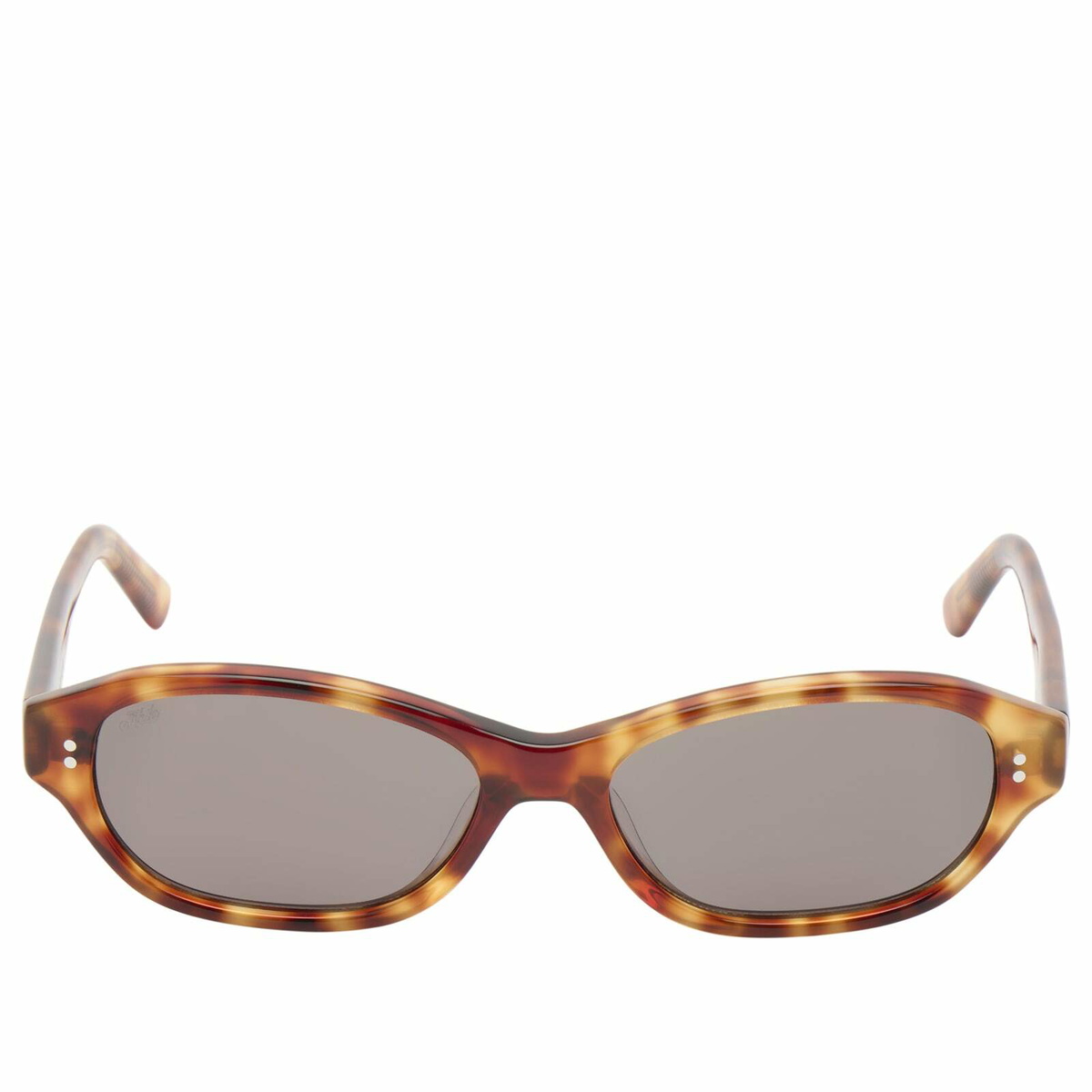 AKILA Rey Sunglasses in Toffee Tortoise/Asphalt 