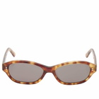 AKILA Rey Sunglasses in Toffee Tortoise/Asphalt 
