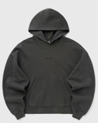 Carhartt WIP Hooded Benton Sweat Grey Womens Hoody