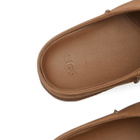 UGG Men's Otzo Clog in Dark Chestnut