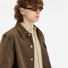 Loewe Eyewear Slim Rectangular Sunglasses in Havana 