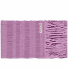 Acne Studios Men's Vaiano Stripe Scarf in Lilac Purple