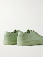 Common Projects - Original Achilles Leather Sneakers - Green