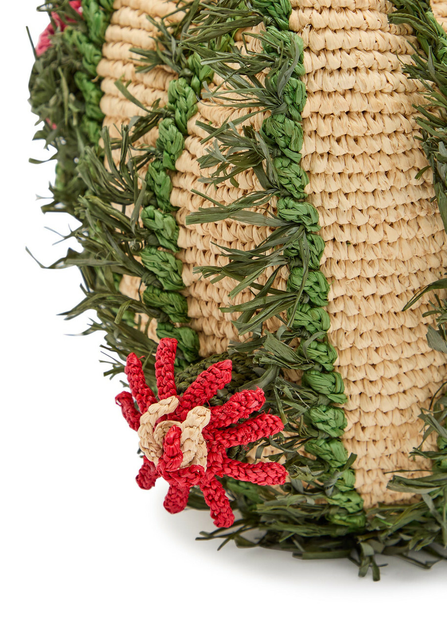 Anya Hindmarch Cactus Raffia and Leather Cross-body bag - Natural - One Size