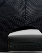 Pendleton National Park Trucker Blue Caps