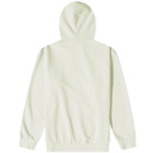 Museum of Peace and Quiet University Hoody in Light Mint