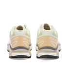 Salomon Men's XT-6 Sneakers in Aloe Washm/Hazelnut/Feather Gray