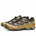 Salomon XT-6 GTX Sneaker in Delicioso/Tea/Plantation