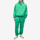 Fear of God ESSENTIALS Men's Spring Tab Detail Sweat Pants in Mint Leaf