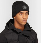Canada Goose - Logo-Appliquéd Merino Wool Beanie - Black