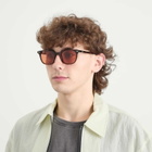Le Specs Le Resolu Sunglasses in Dark Tort/Cinnamon Tint 
