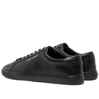 Saint Laurent Andy Low Top Sneaker