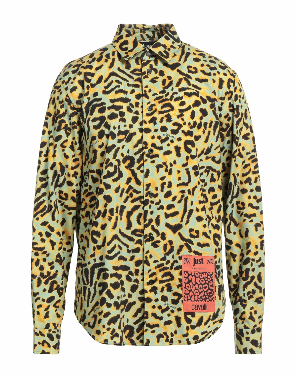 Just Cavalli Mens Shirt in Sage green