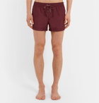 Dolce & Gabbana - Short-Length Swim Shorts - Men - Burgundy