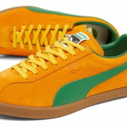 Puma Brasil in Dark Poppy