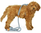 Boo Oh Blue Medium Ray Harness