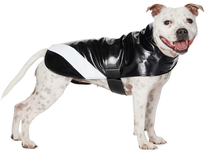Photo: Stutterheim SSENSE Exclusive Black Dog Raincoat