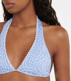 Heidi Klein St Kitts halterneck bikini top