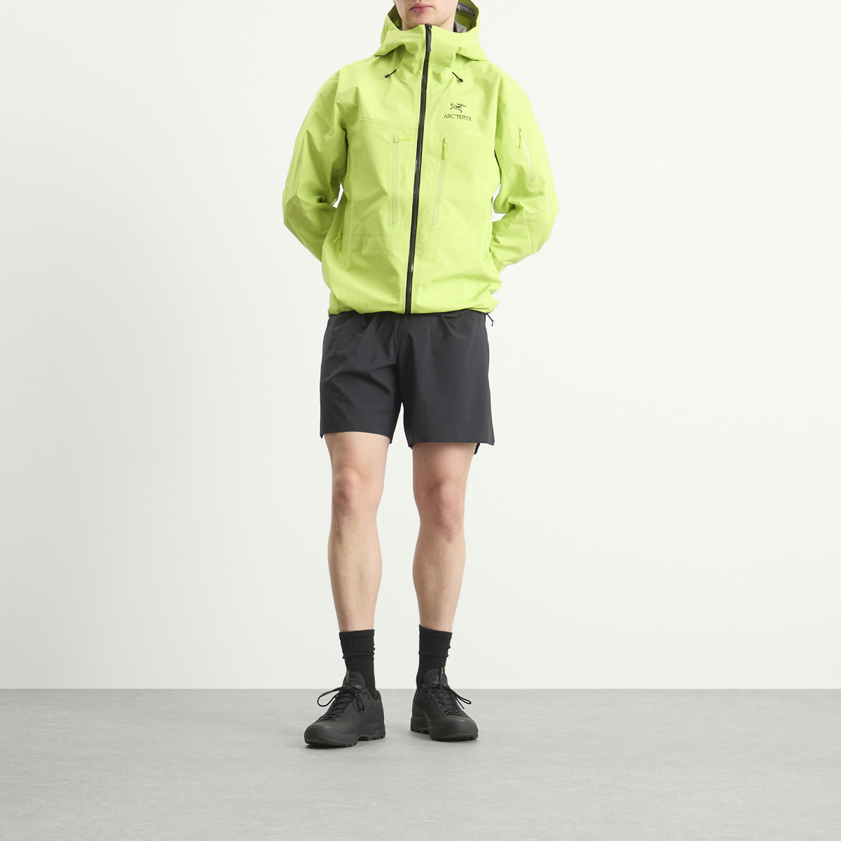 Arc'teryx Men's Alpha SV Gore-Tex Jacket in Mantis/Black