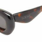 Loewe Eyewear Loewe Inflated Sunglasses in Dark Havana/Smoke 