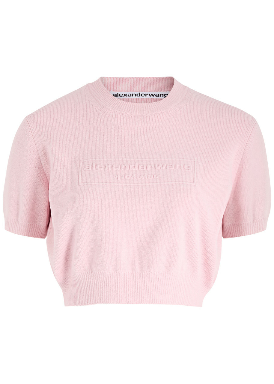 alexander wang bustier top