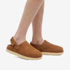 UGG Women's Goldenstar Clog in Chestnut