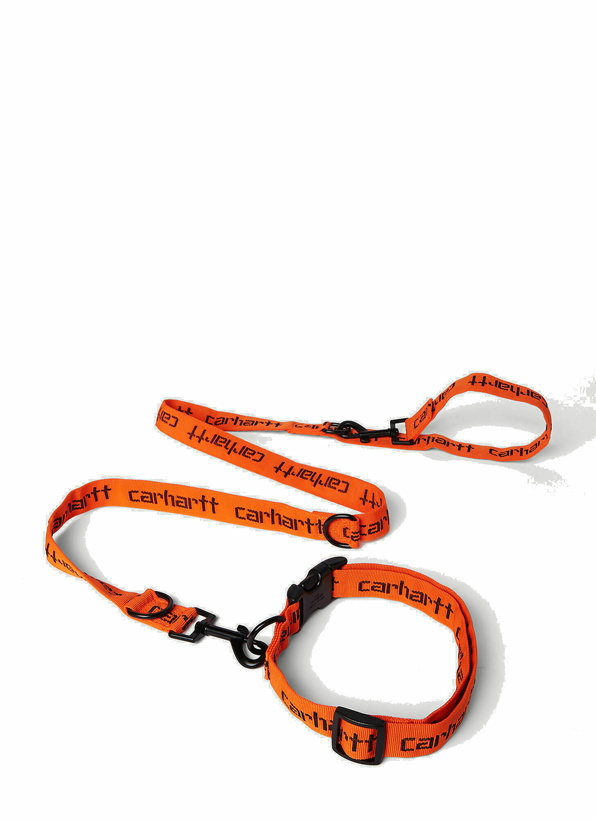 Photo: Script Dog Leash And Collar in Orange