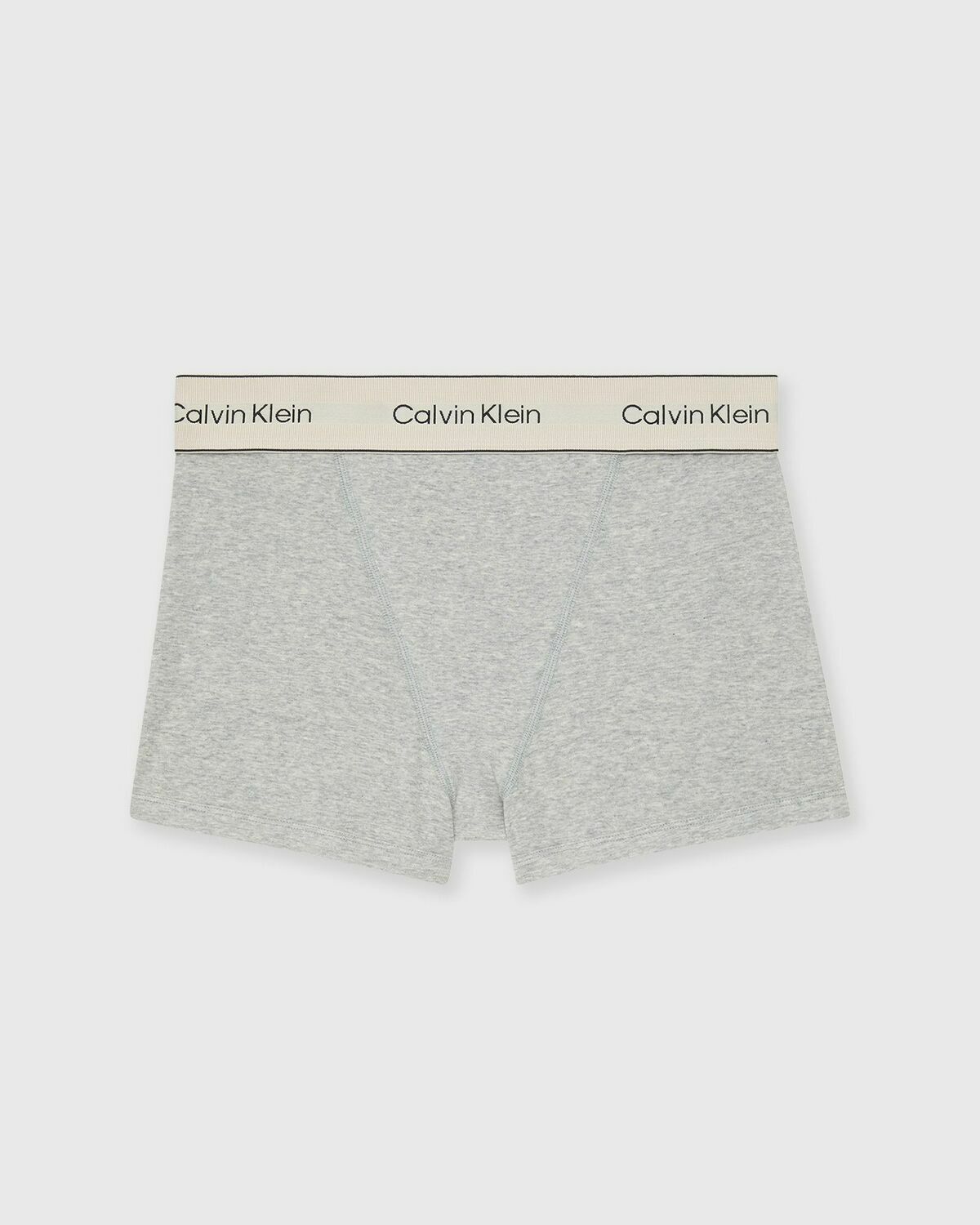 Calvin Klein Underwear BOXER BRIEF Grey Womens Panty