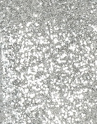 Jijil Womens Top in Silver