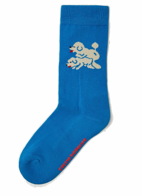 Photo: Snoop Dogs Socks in Blue